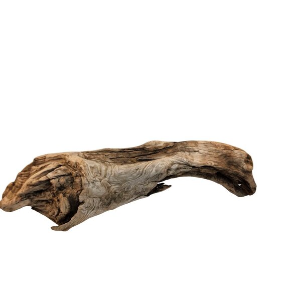 Natural Driftwood Decor Piece For Crafting Aquariums Reptile Tanks Or Rustic Dis - Picture 2 of 14